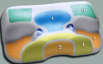 Product image for Contour CPAP Pillow with Pillow Cover - Thumbnail Image #2