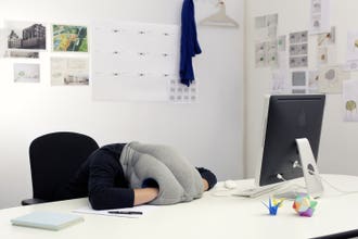 Product image for OSTRICHPILLOW Original - Thumbnail Image #4