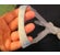 Product image for Pad A Cheek Ear Loop Protectors - Thumbnail Image #2