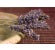 Product image for PurSleep CPAP Aromatherapy 30ml Refill - Peace - Thumbnail Image #1