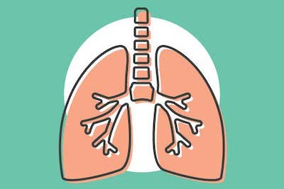 a drawing of a lung