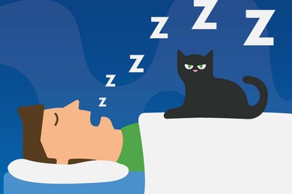 a drawing of a man sleeping with his mouth open and likely snoring while the cat on his stomach looks annoyed